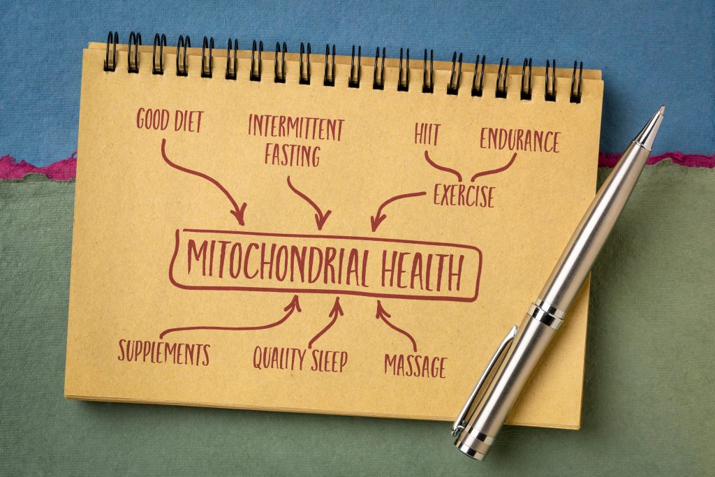 boosting NAD+ for mitochondrial health